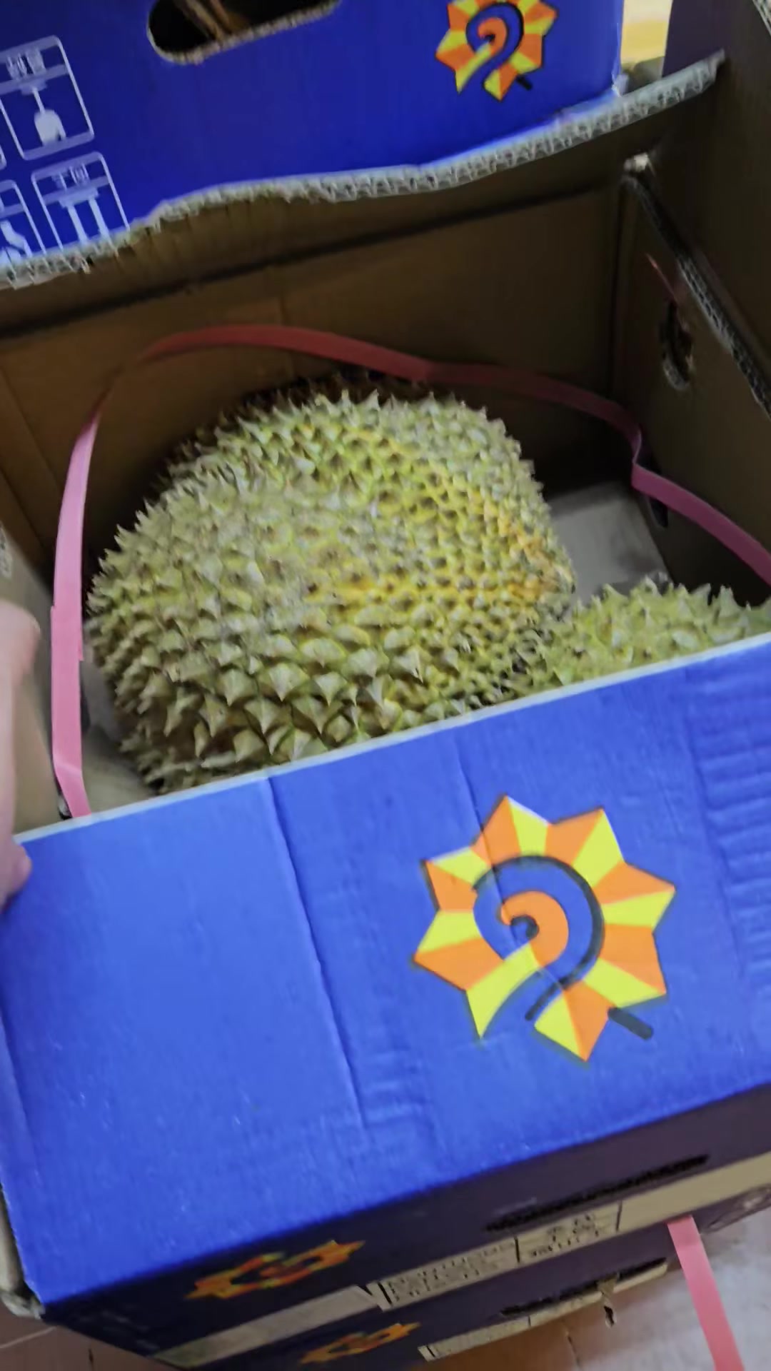 Sầu riêng hàng Thái xuất khẩu  - Ảnh 7